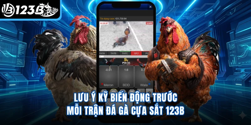 Lưu ý kỹ biến động trước mỗi trận đá gà cựa sắt 123B