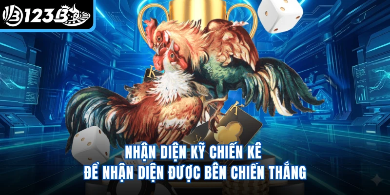 Nhận diện kỹ chiến kê để nhận diện được bên chiến thắng